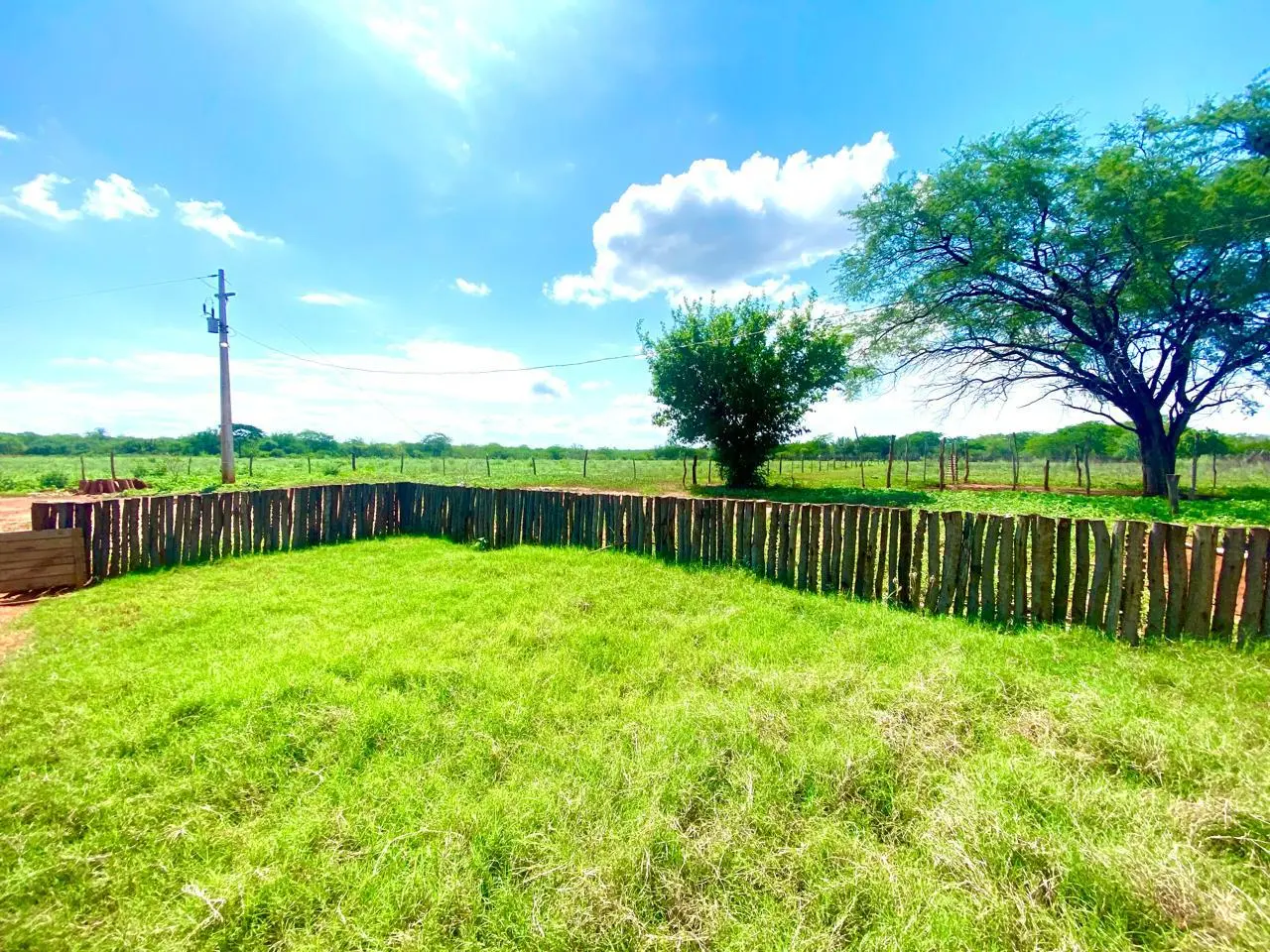 Quintal gramado com vista para a área rural