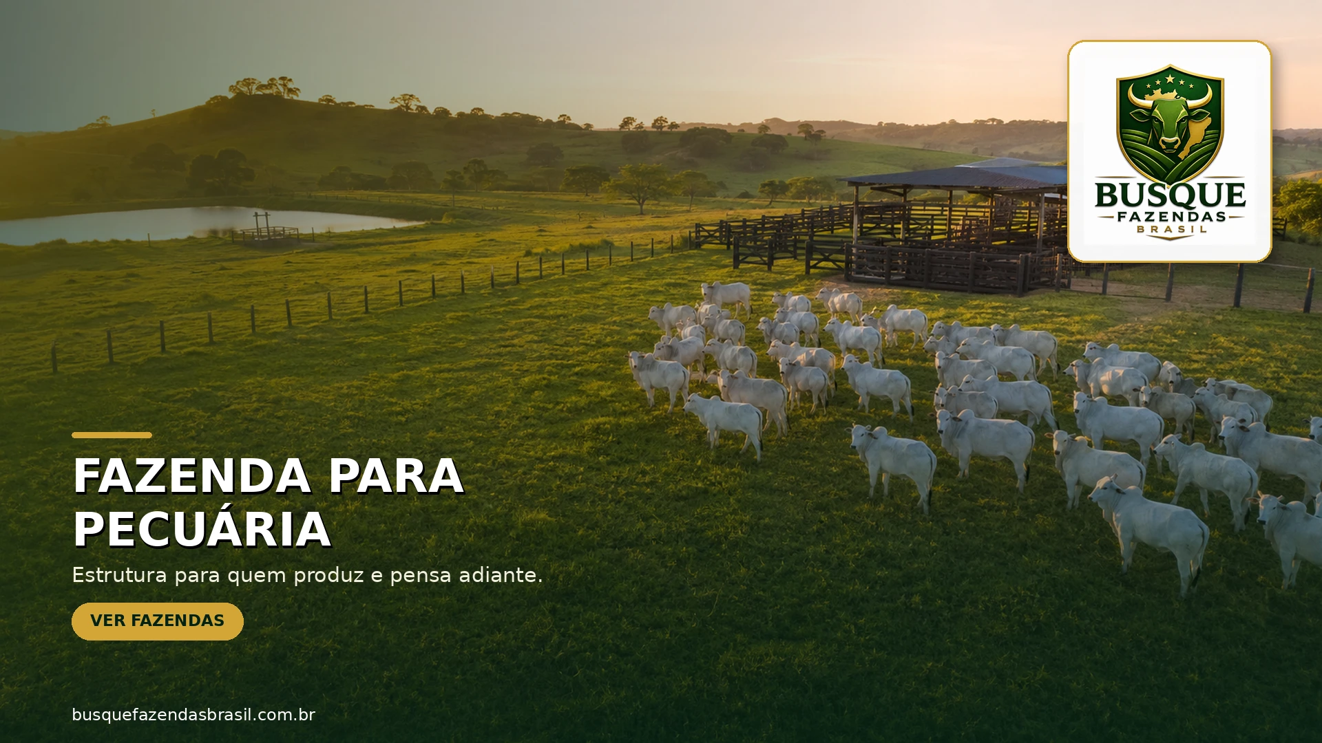 Fazendas para pecuária